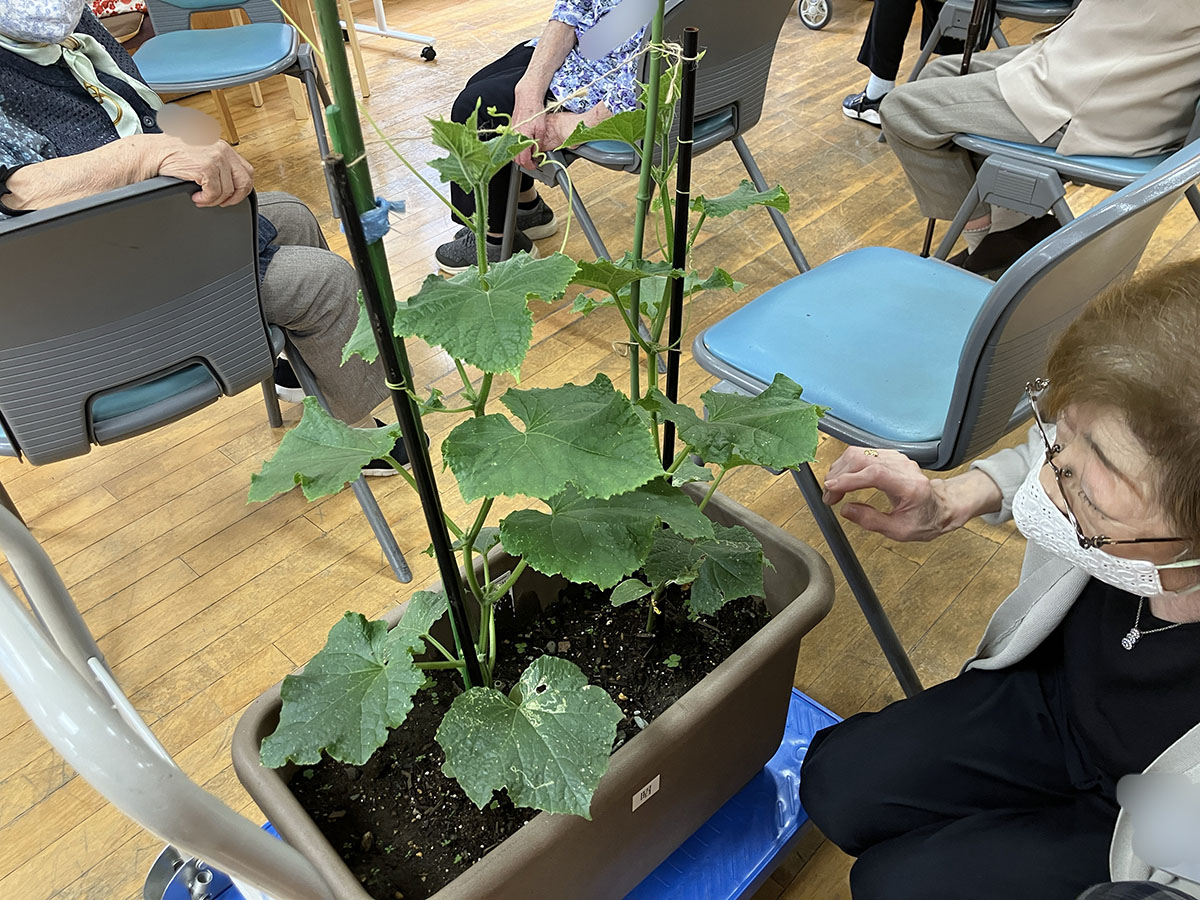 文京向丘高齢者在宅サービスセンター
